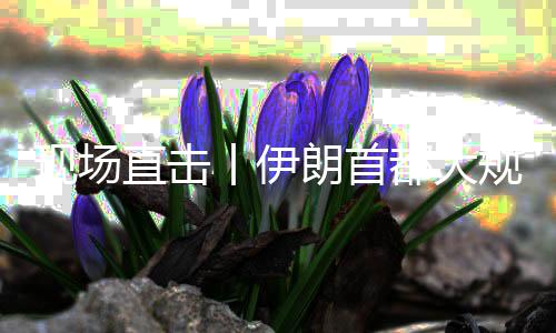 团结集会丨伊规模国家直击展示都大现场朗首
